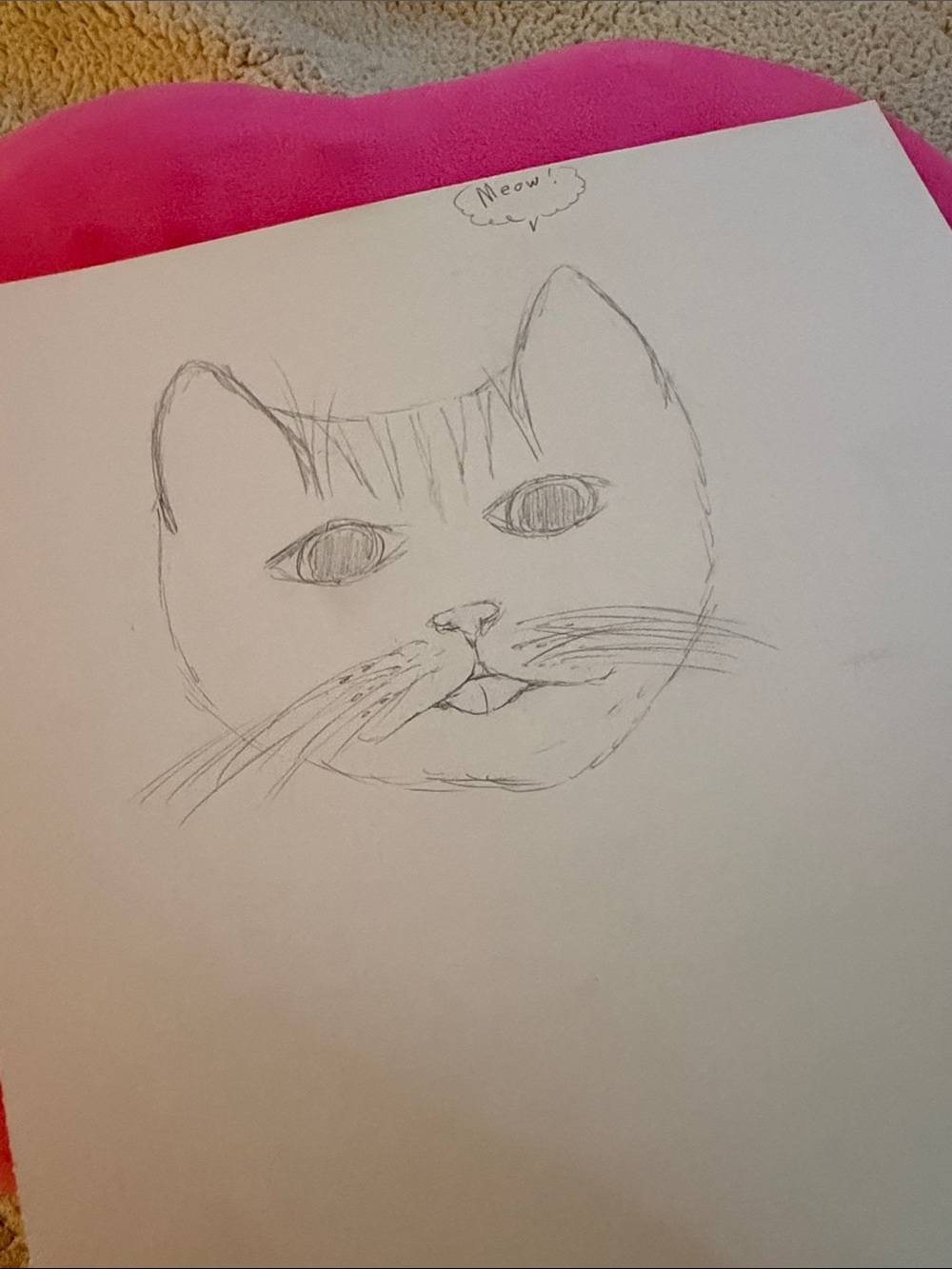 Pet Sketch Pad with Pink Cover - Unbranded
